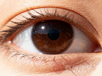 睑缘炎是眼尾疼的常见原因之一 睑缘炎是眼尾疼的常见原因之一