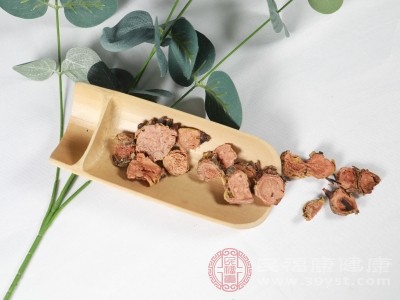 紅景天對(duì)神經(jīng)系統(tǒng)也有調(diào)節(jié)作用