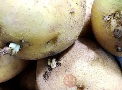 警惕发芽土豆的“毒” 龙葵素危害大 这些知识点要牢记