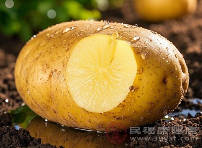 储存土豆时不要堆叠过厚,避免相互挤压导致损伤,损伤的土豆更容易发芽和腐烂 储存土豆时不要堆叠过厚,避免相互挤压导致损伤,损伤的土豆更容易发芽和腐烂