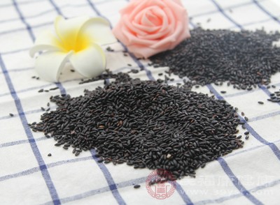 減肥黨必看 黑米到底能不能瘦 看完不踩坑 減肥黨必看 黑米到底能不能瘦 看完不踩坑