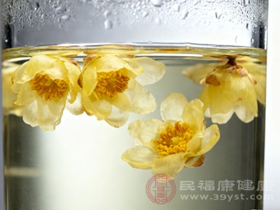 冬季喝腊梅花水太合适 疏肝润燥又开胃 这些知识要知道