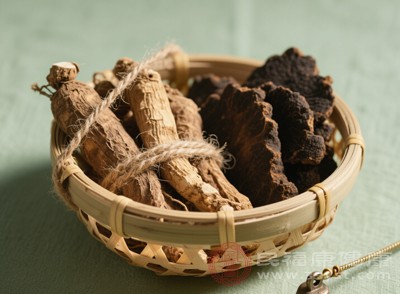 熟地能够补充肾精