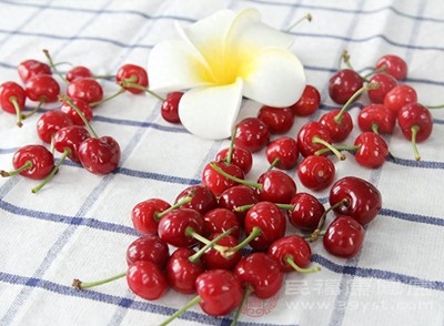 樱桃性温热,吃太多樱桃很容易引发热性病 樱桃性温热,吃太多樱桃很容易引发热性病