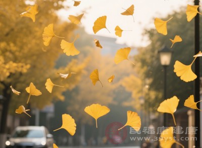 可多到戶外欣賞秋末的自然景色，如金黃的銀杏、火紅的楓葉等，感受季節(jié)的獨(dú)特之美