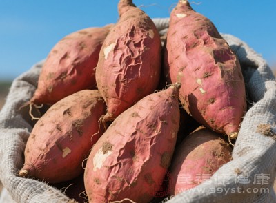 红薯富含膳食纤维和维生素,能补中益气、促进肠道蠕动,可作为主食或加餐 红薯富含膳食纤维和维生素,能补中益气、促进肠道蠕动,可作为主食或加餐