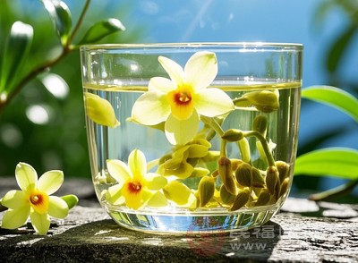 泡一杯石斛花茶饮，既能提神醒脑，又能放松身心