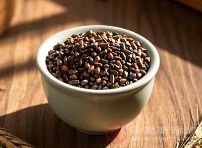 决明子含有丰富的膳食纤维