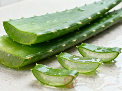芦荟生吃吗 先冷静 这些风险要知道