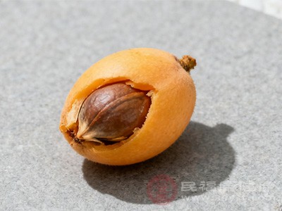 除了氰苷，枇杷核还含有蛋白质、脂肪、纤维素以及一些矿物质等成分