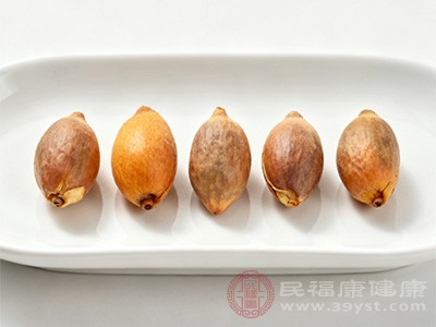 在传统中医理论中,枇杷核具有一定的药用功效 在传统中医理论中,枇杷核具有一定的药用功效