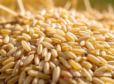 糙米是稻谷脱壳后不加工或较少加工所获得的全谷粒米 糙米是稻谷脱壳后不加工或较少加工所获得的全谷粒米