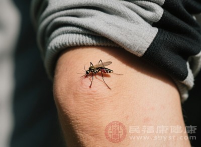 蚊子叮咬时,会将口器刺入皮肤,同时注入含有蚁酸、抗凝血剂和蛋白质的唾液 蚊子叮咬时,会将口器刺入皮肤,同时注入含有蚁酸、抗凝血剂和蛋白质的唾液