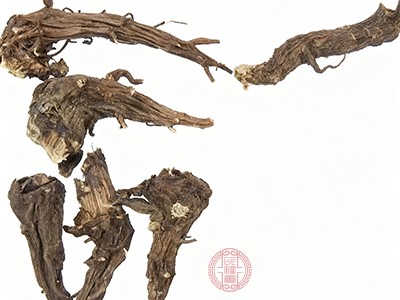 川乌草乌能治病亦有毒 这些功效和禁忌你需知道