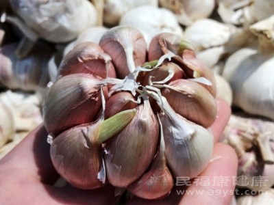 大蒜会合成更多的维生素 大蒜会合成更多的维生素