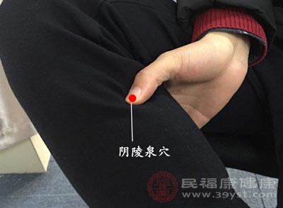 阴陵泉位于小腿内侧,胫骨内侧髁下缘与胫骨内侧缘之间的凹陷中 阴陵泉位于小腿内侧,胫骨内侧髁下缘与胫骨内侧缘之间的凹陷中