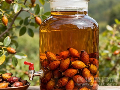 每天喝一小杯金樱子泡酒,能够降低感染流感的风险 每天喝一小杯金樱子泡酒,能够降低感染流感的风险