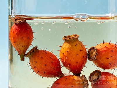 适量饮用金樱子泡酒,可以补充骨骼所需的营养 适量饮用金樱子泡酒,可以补充骨骼所需的营养