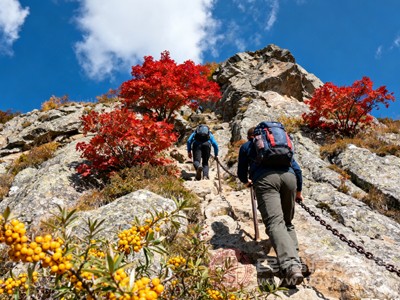 新手应保持“慢节奏、勤休息”的原则,避免一开始就快速攀登,建议采用“三步一吸、三步一呼”的呼吸法,让呼吸与步伐协调,减少岔气、气喘的发生 新手应保持“慢节奏、勤休息”的原则,避免一开始就快速攀登,建议采用“三步一吸、三步一呼”的呼吸法,让呼吸与步伐协调,减少岔气、气喘的发生