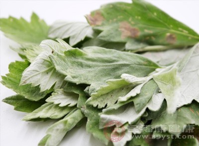 艾叶只是减肥的辅助手段