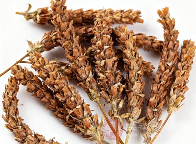 夏枯草 草药界的“全能选手” 功效超厉害