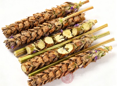 夏枯草擅长消散郁结 夏枯草擅长消散郁结