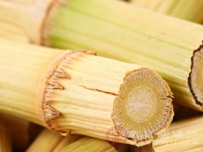 芦根具有利尿的作用 芦根具有利尿的作用