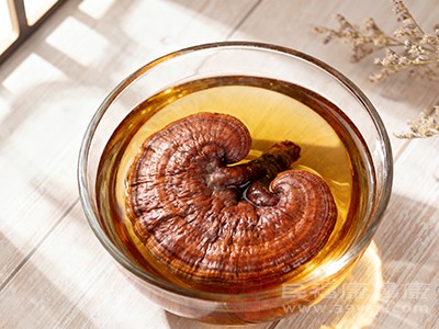 灵芝泡酒出圈！凭实力斩获养生“C位”