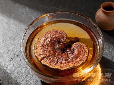 灵芝泡酒饮用后，对肝脏的保护和调理效果更加显著