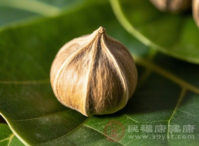 辣木籽中的某些成分能够促进胰岛素的分泌