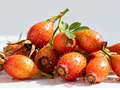 对于女性而言,金樱子也能帮助调理因肾气虚弱引起的白带过多 对于女性而言,金樱子也能帮助调理因肾气虚弱引起的白带过多