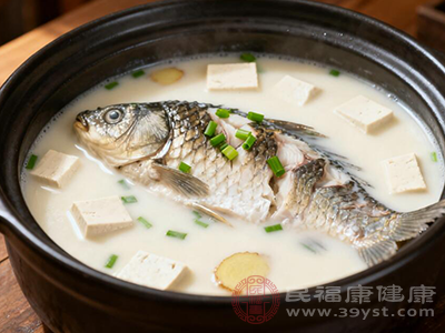 鲫鱼本身含有丰富的钙元素,在炖煮过程中,部分钙会溶解在汤汁里 鲫鱼本身含有丰富的钙元素,在炖煮过程中,部分钙会溶解在汤汁里