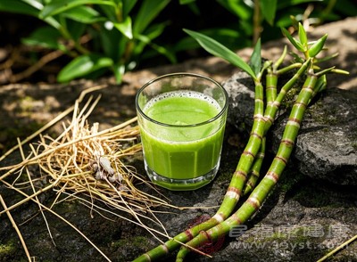 把鲜铁皮石斛洗净切段,搭配苹果、雪梨、黄瓜等果蔬一起榨汁 把鲜铁皮石斛洗净切段,搭配苹果、雪梨、黄瓜等果蔬一起榨汁