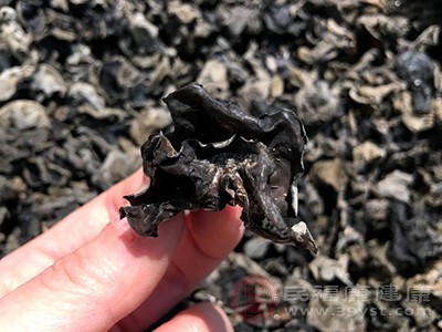 黑木耳被誉为“素中之荤”，含有木耳多糖等生物活性物质