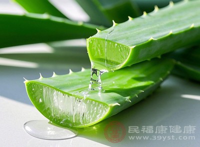 芦荟胶想天天用 先搞懂这些