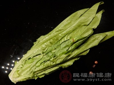 应选择叶片鲜嫩、翠绿 应选择叶片鲜嫩、翠绿