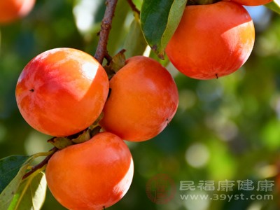 从中医角度来看，柿子性凉味甘涩，具有清热润肺、生津止渴的功效