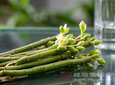 石斛吃法大揭秘 这么吃才叫“物尽其用”