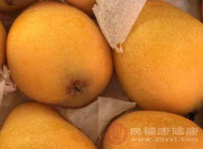 想吃海鲜,就把枇杷留到下一餐吧 想吃海鲜,就把枇杷留到下一餐吧