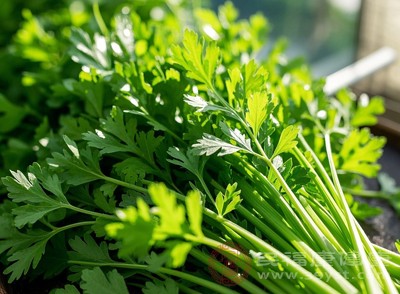 每100克芹菜(茎)中碘含量约为16微克 每100克芹菜(茎)中碘含量约为16微克