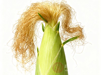 选择新鲜、无霉变的玉米须,清洗干净后再煮水 选择新鲜、无霉变的玉米须,清洗干净后再煮水