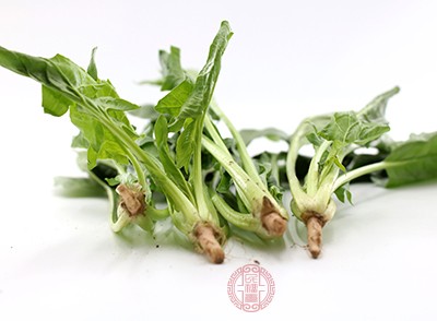 菠菜和韭菜一样,都含有较多的草酸 菠菜和韭菜一样,都含有较多的草酸
