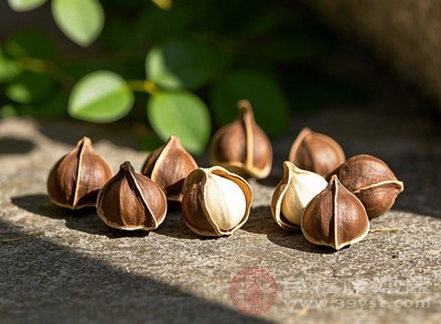 别浪费 辣木籽这些隐藏功效和吃法 你知道几个