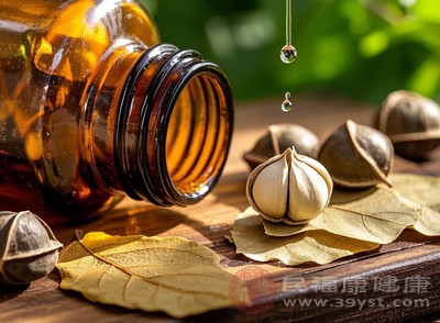 食用前先将辣木籽的外壳剥掉,取里面的果仁嚼食 食用前先将辣木籽的外壳剥掉,取里面的果仁嚼食