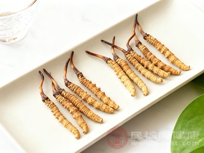 冬虫夏草对心血管系统具有良好的调节作用