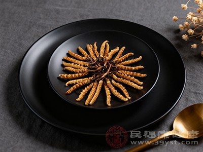 冬蟲夏草通過調(diào)節(jié)免疫，能夠提高機體的免疫應答水平