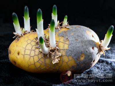 科学储存是关键