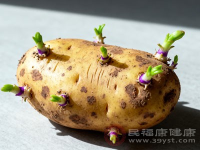 发芽土豆吃还是扔 一文说清楚