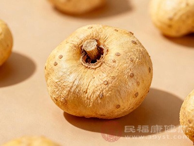 千年良藥半夏 揭秘其功效與應(yīng)用