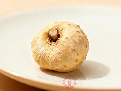 半夏是燥湿化痰的要药